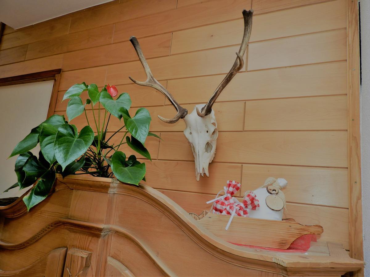 Hotel Hohe Tauern マトライ・イン・オストティロル エクステリア 写真